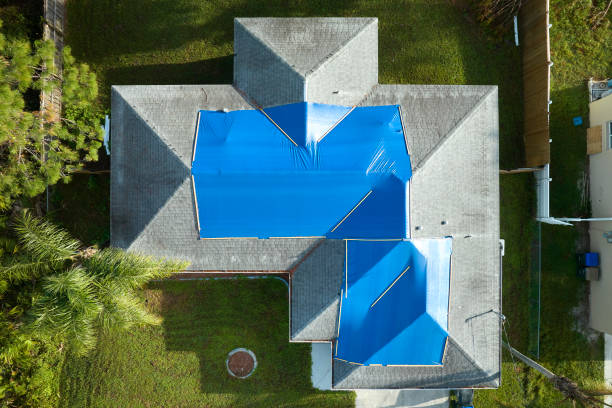 Professional Roofing Services in Dardanelle, AR